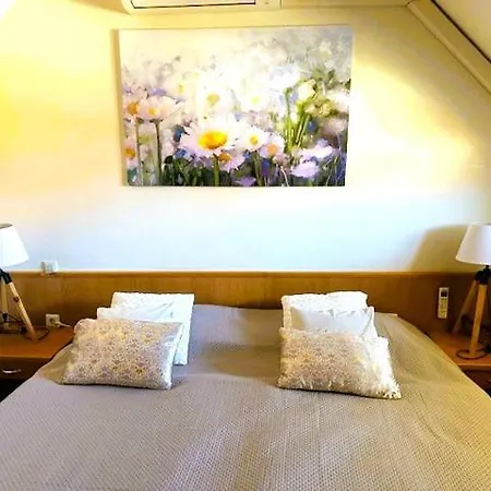 Marjetica Appartement