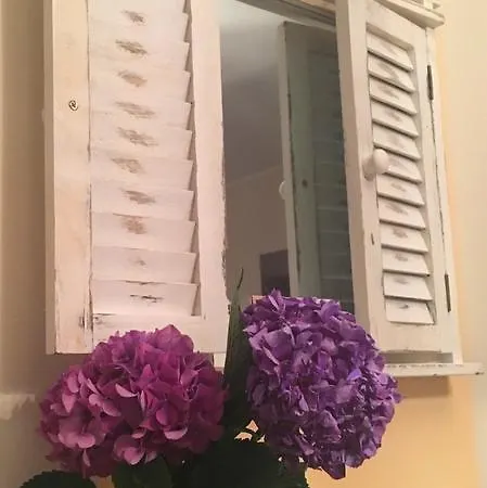 Apartment Marjetica *