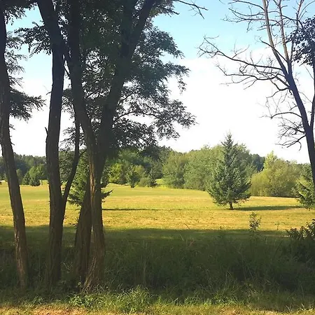 Marjetica מורבסקה טופליצה