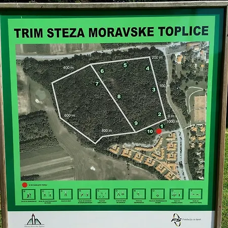 Marjetica *