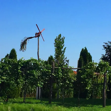 Marjetica דירה מורבסקה טופליצה