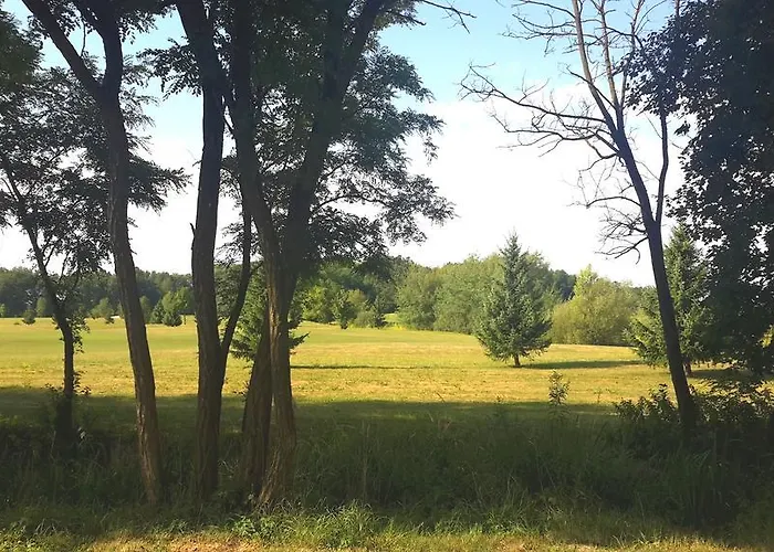 Marjetica مورفسكه تيبليتسه