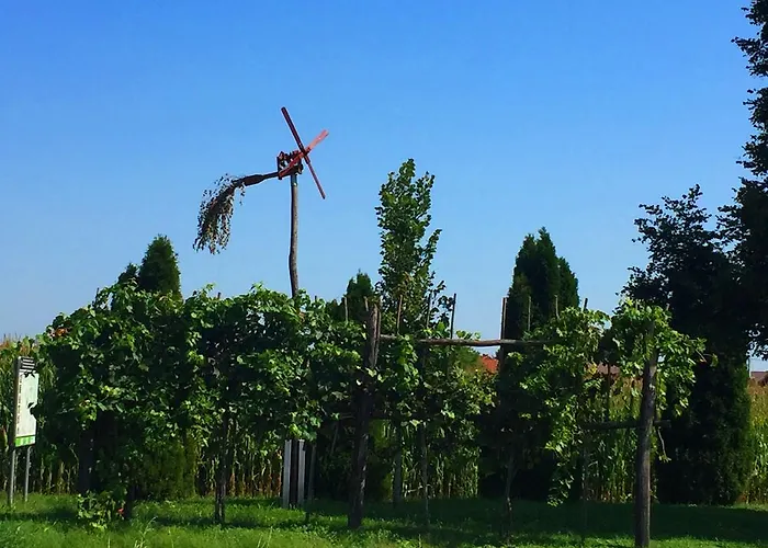 Marjetica شقة مورفسكه تيبليتسه